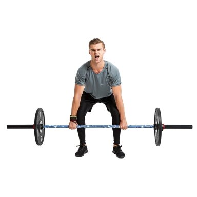 Olimpinis moteriškas grifas štangai su guoliais inSPORTline Olympic OB-86 PCWC – 201 cm / 50 mm Olimpinis moteriškas grifas štangai su guoliais inSPORTline Olympic OB-86 PCWC – 201 cm / 50 mm