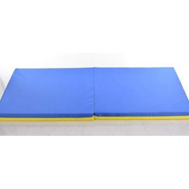Apsauginis kilimėlis 160 x 66 cm, mėlynas-geltonas 5