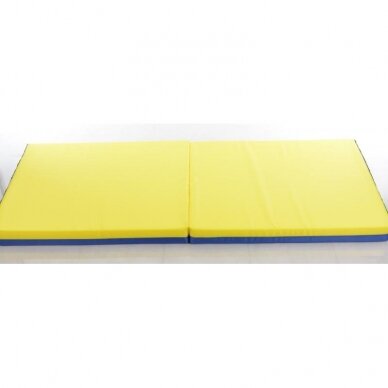 Apsauginis kilimėlis 160 x 66 cm, mėlynas-geltonas 1