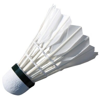Badmintono plunksniukai Spartan Feather (12vnt.)