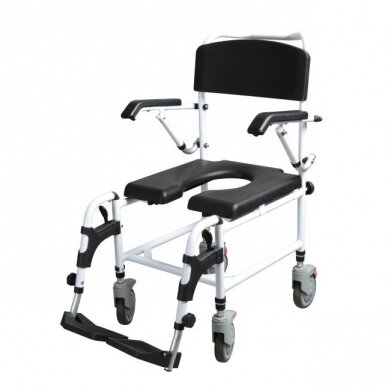 Dušo, tualeto ir transportavimo vežimėlis 3in1 2