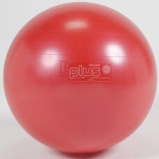 Gimnastikos kamuolys Gymnic Plus 55, raudonas