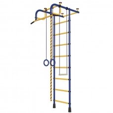 Gimnastikos sienelė Pioner-1, mėlyna-geltona