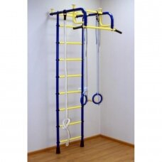 Gimnastikos sienelė Pioner-1, mėlyna-geltona
