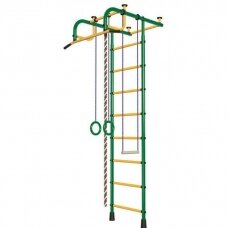 Gimnastikos sienelė Pioner-1, žalia-geltona
