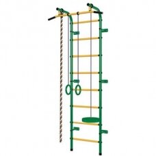 Gimnastikos sienelė Pioner-C1P, žalia-geltona