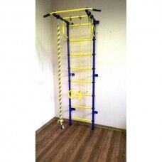 Gimnastikos sienelė Pioner-C2P, mėlyna-geltona
