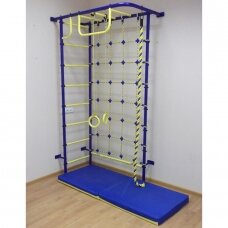 Gimnastikos sienelė Pioner-8, mėlyna-geltona
