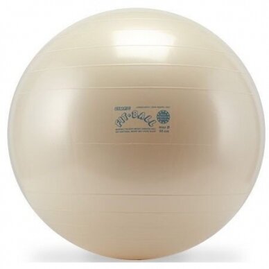 Gimnastikos kamuolys Gyminc Fit-Ball 65, baltas