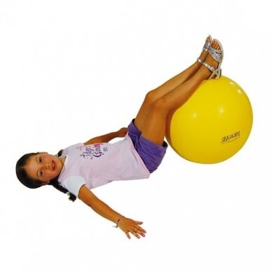 Gimnastikos kamuolys Gymnic Calssic 45, geltonas 1