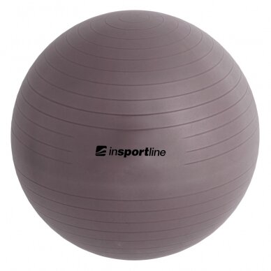 Gimnastikos kamuolys + pompa inSPORTline Top Ball 75cm - Purple 2