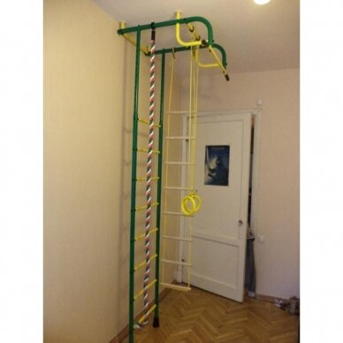 Gimnastikos sienelė Pioner-1, žalia-geltona 2