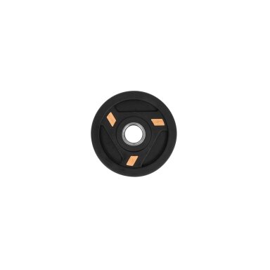 Svoris grifui inSPORTline Herk 1.25 kg