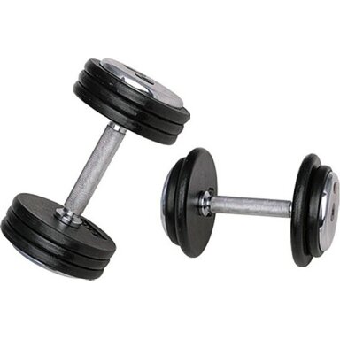 Profesionalus hantelis inSPORTline ProfiST 22.5 kg