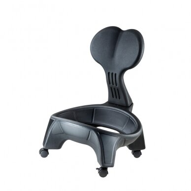 Kėdė su kamuoliu pusiausvyros lavinimui inSPORTline EGG-Chair 1