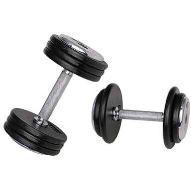 Profesionalus hantelis inSPORTline ProfiST 2.5 kg