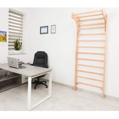 Skersinis montuojamas prie sienelės inSPORTline Steadyline 80 cm