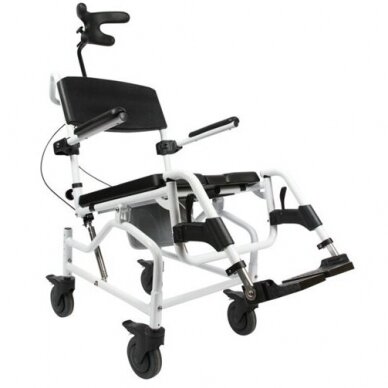 Tualeto, dušo ir transportavimo vežimėlis su pavertimo funkcija 1